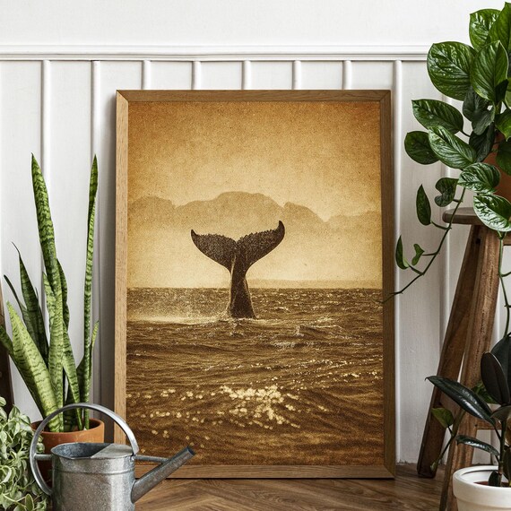 Whale Tail Ocean Print Minimalist Coastal Wall Art