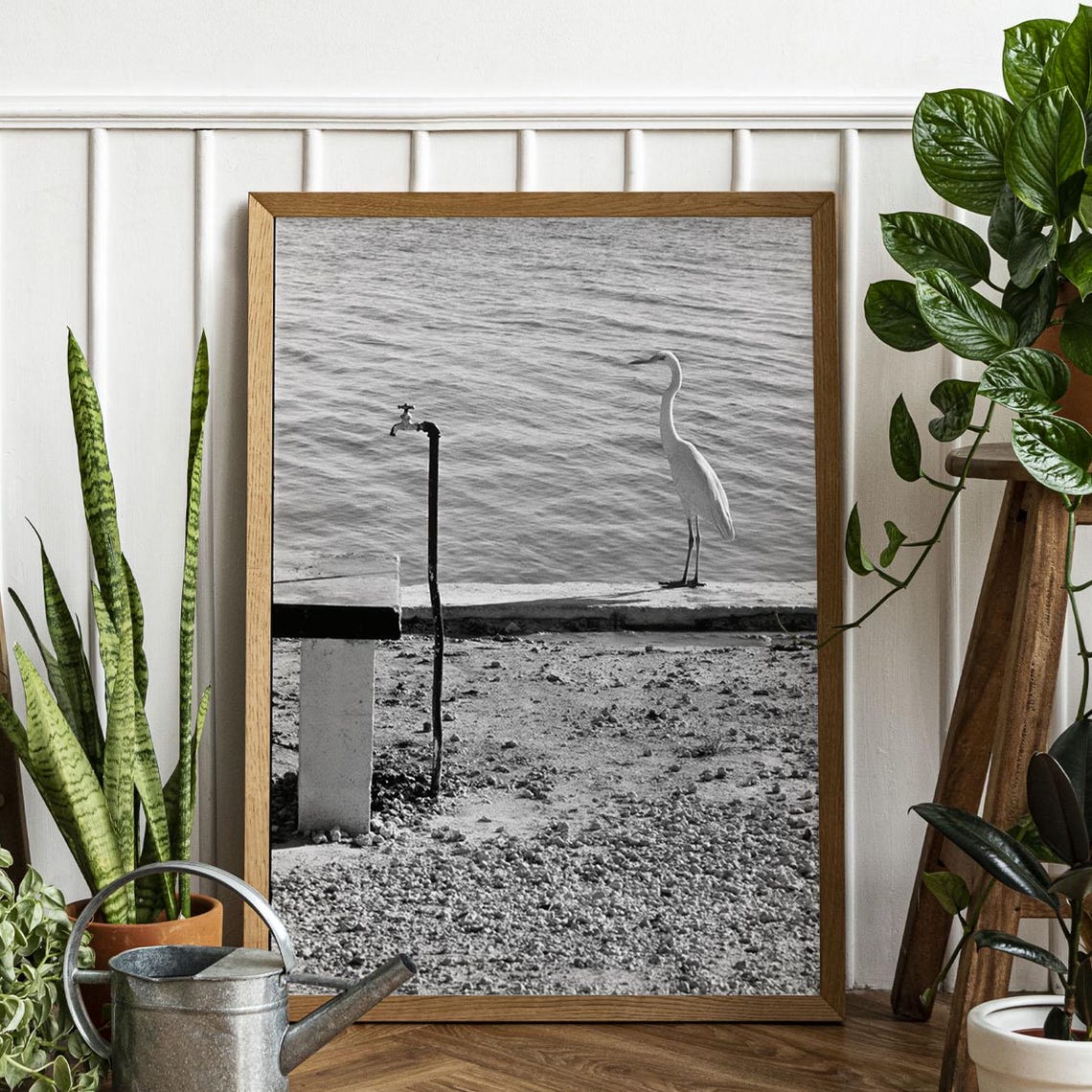 White Egret By Quiet Water Black And White Nature Photo Poster
