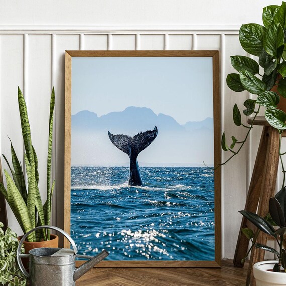Whale Tail Ocean Print Minimalist Coastal Wall Art
