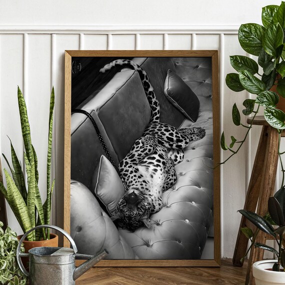 Leopard Lounge Art Print Black And White Glam Photography