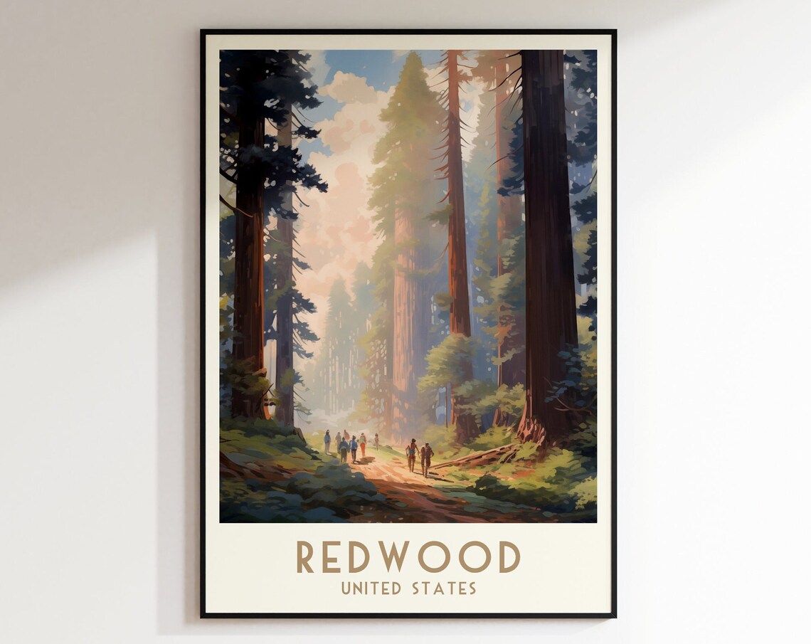 Redwood Forest United States Giant Trees Hikers Trail Travel Poster