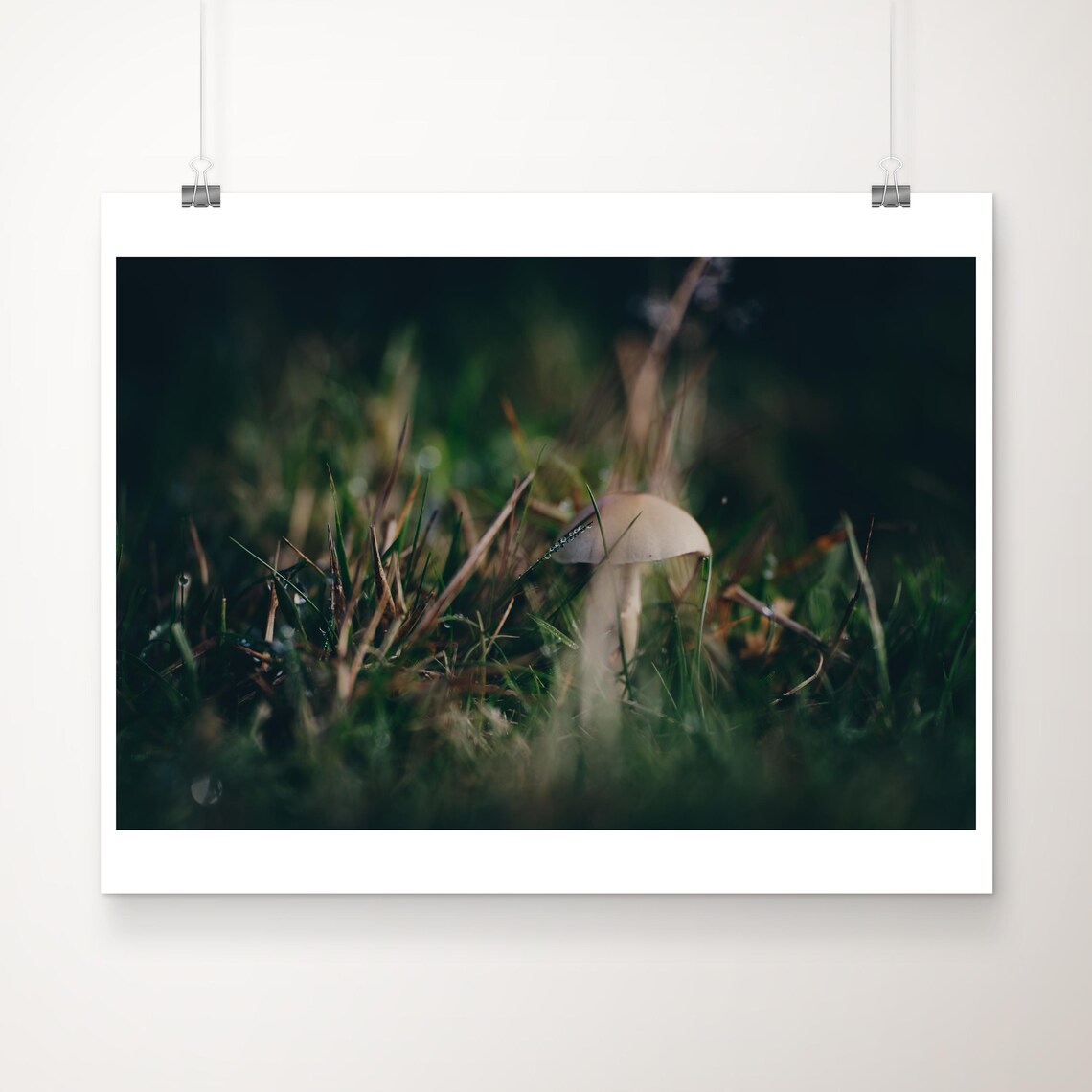 Wild Mushroom Macro Forest Grass Dark Moody Nature Photo Poster