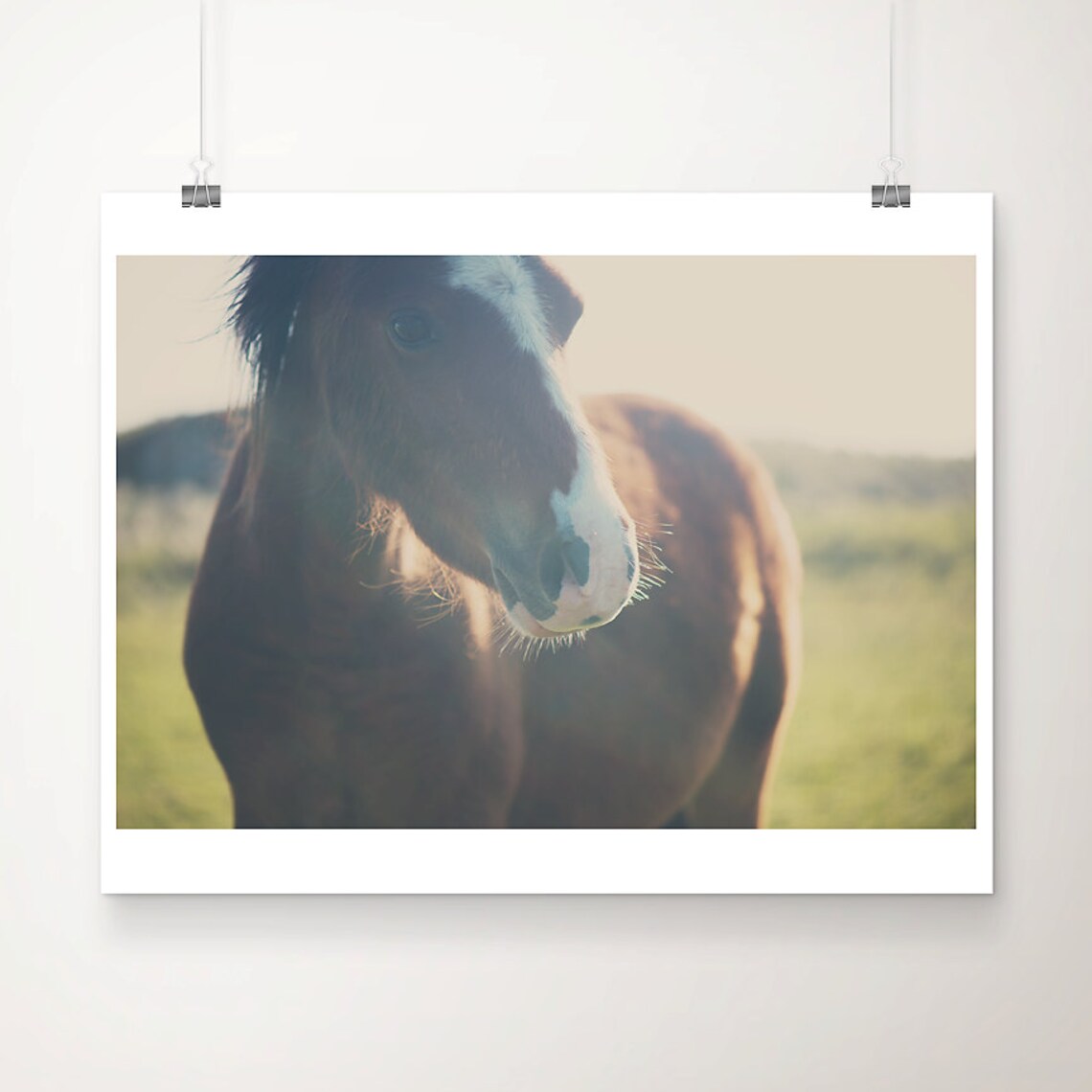 Brown Horse Close-Up White Blaze Equine Photo Poster Rustic Decor