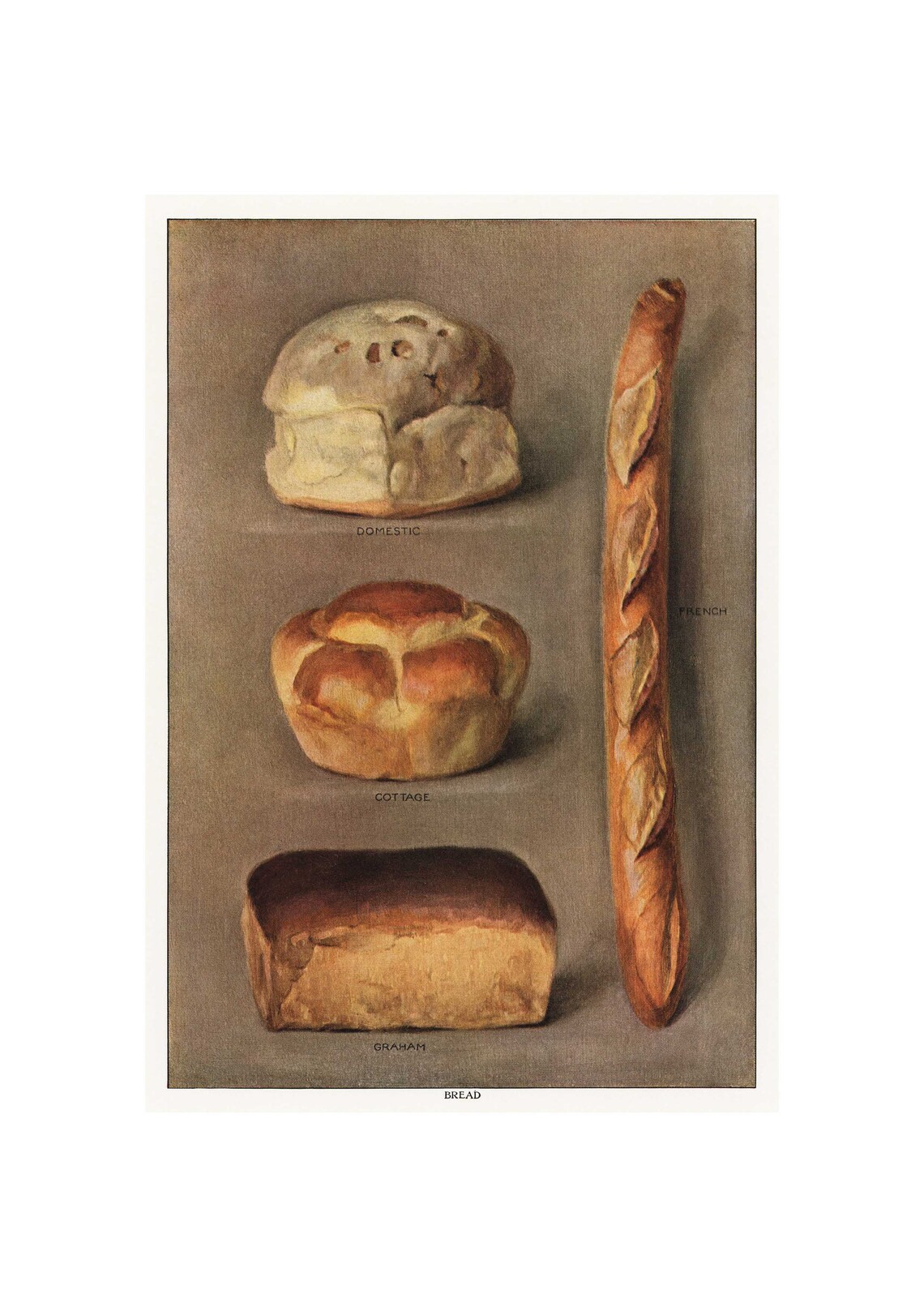 Bread Print, Antique Lithograph From Grocers Encyclopedia