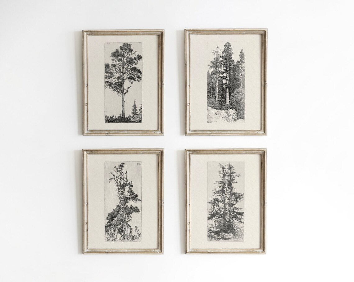 Vintage Botanical Tree Sketch, Forest Art Print
