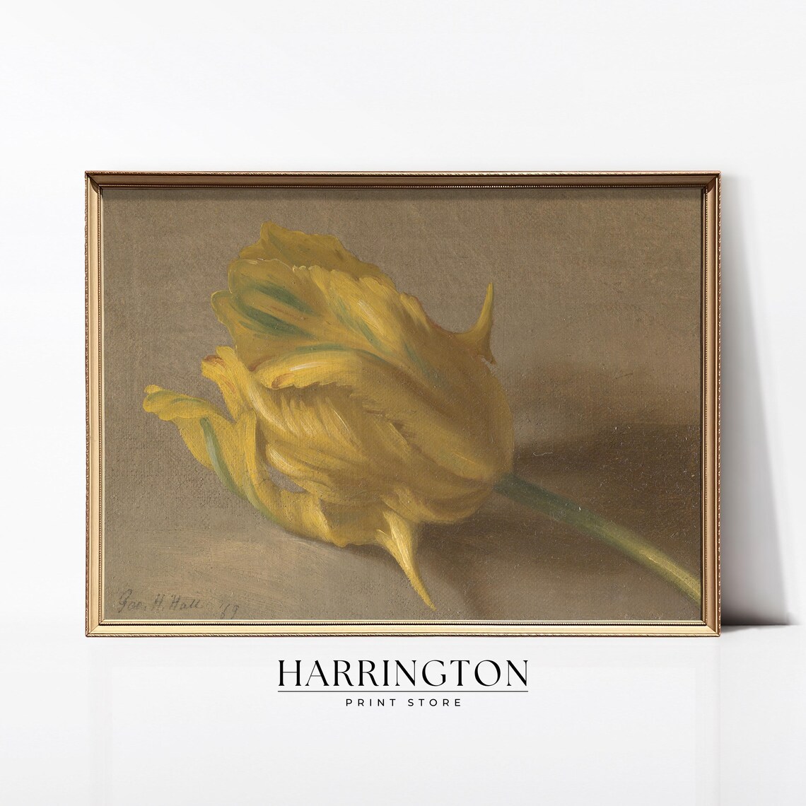 Yellow Tulip Still Life Signed Vintage Floral Oil Painting Poster
