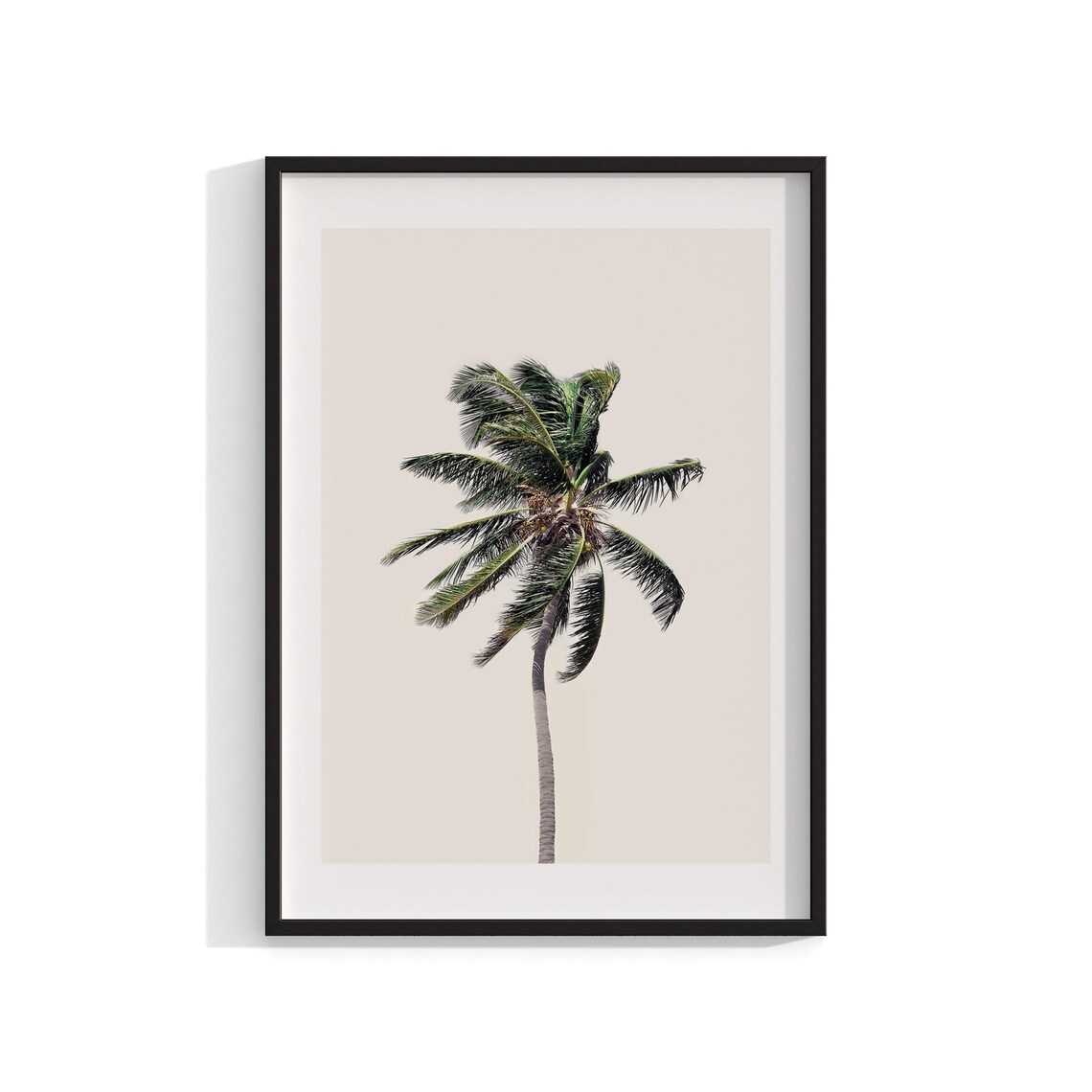Palm Tree Photography, Coastal Nature Print