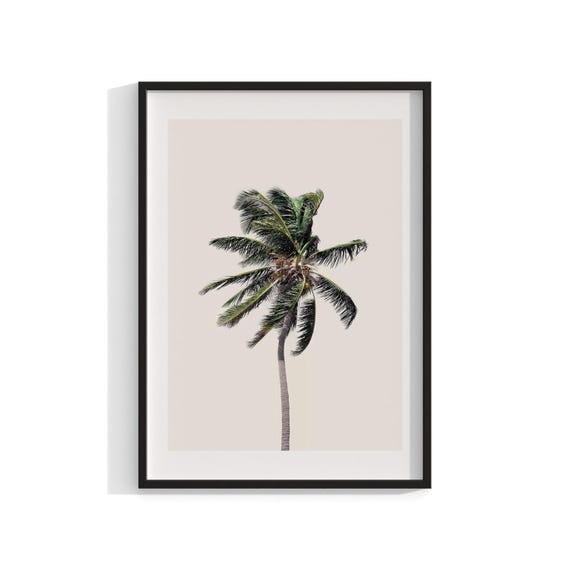Palm Tree Photography, Coastal Nature Print