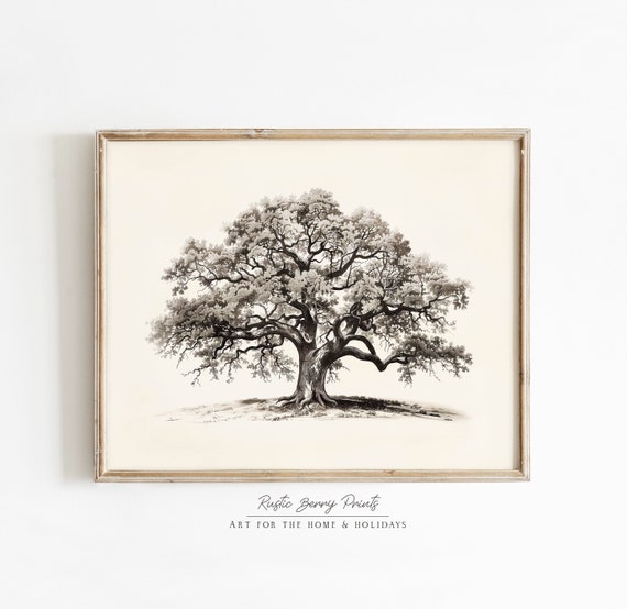 Vintage Oak Tree Sketch Art Print Antique Print Country Farmhouse Decor Neutral Tone Print Antique Art