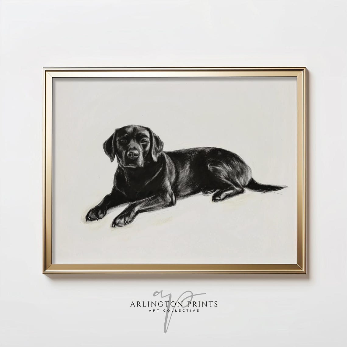 Black Labrador Retriever Lying Down Charcoal Sketch Dog Art Poster