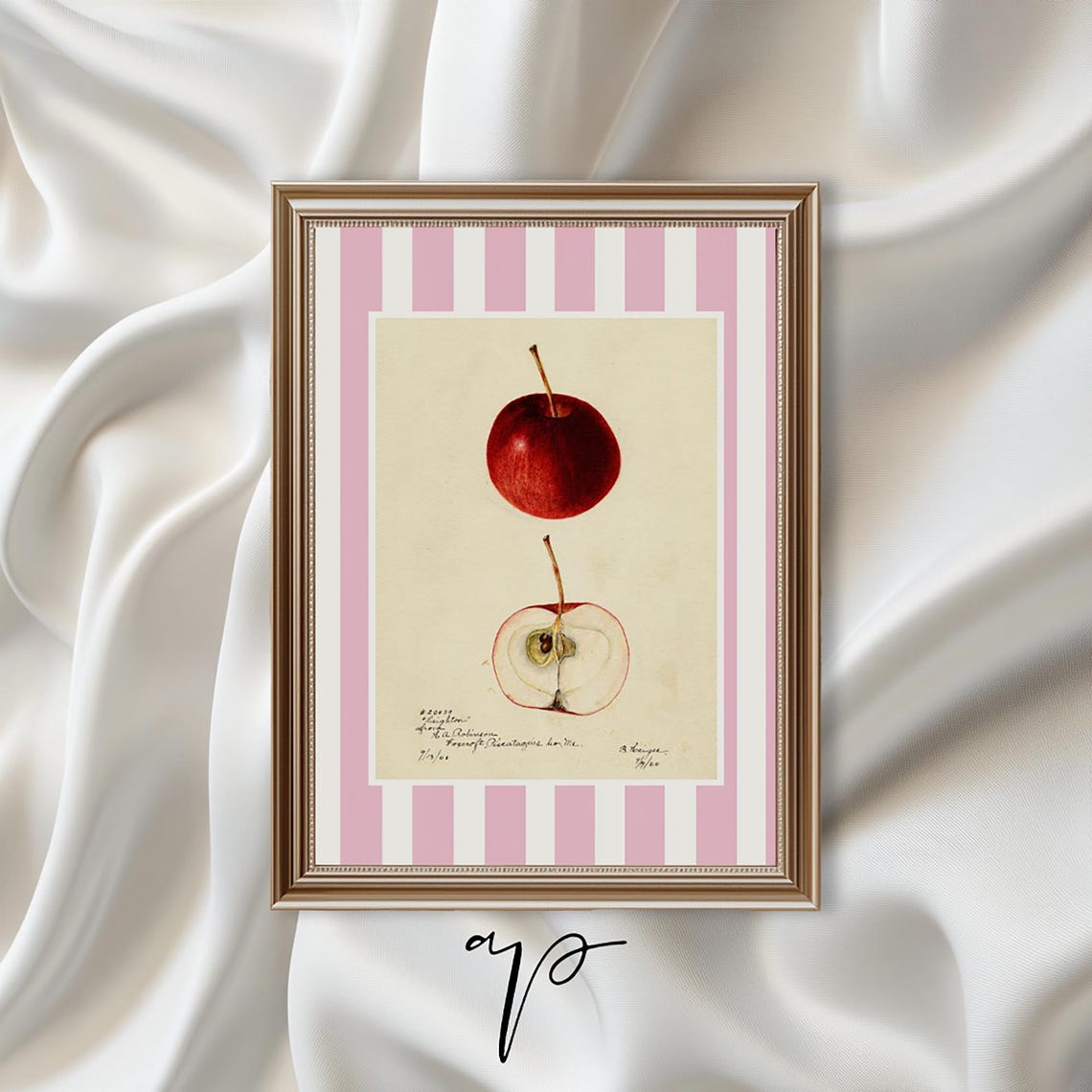 Apple Botanical Vintage Fruit Illustration Red Pink Stripe Poster