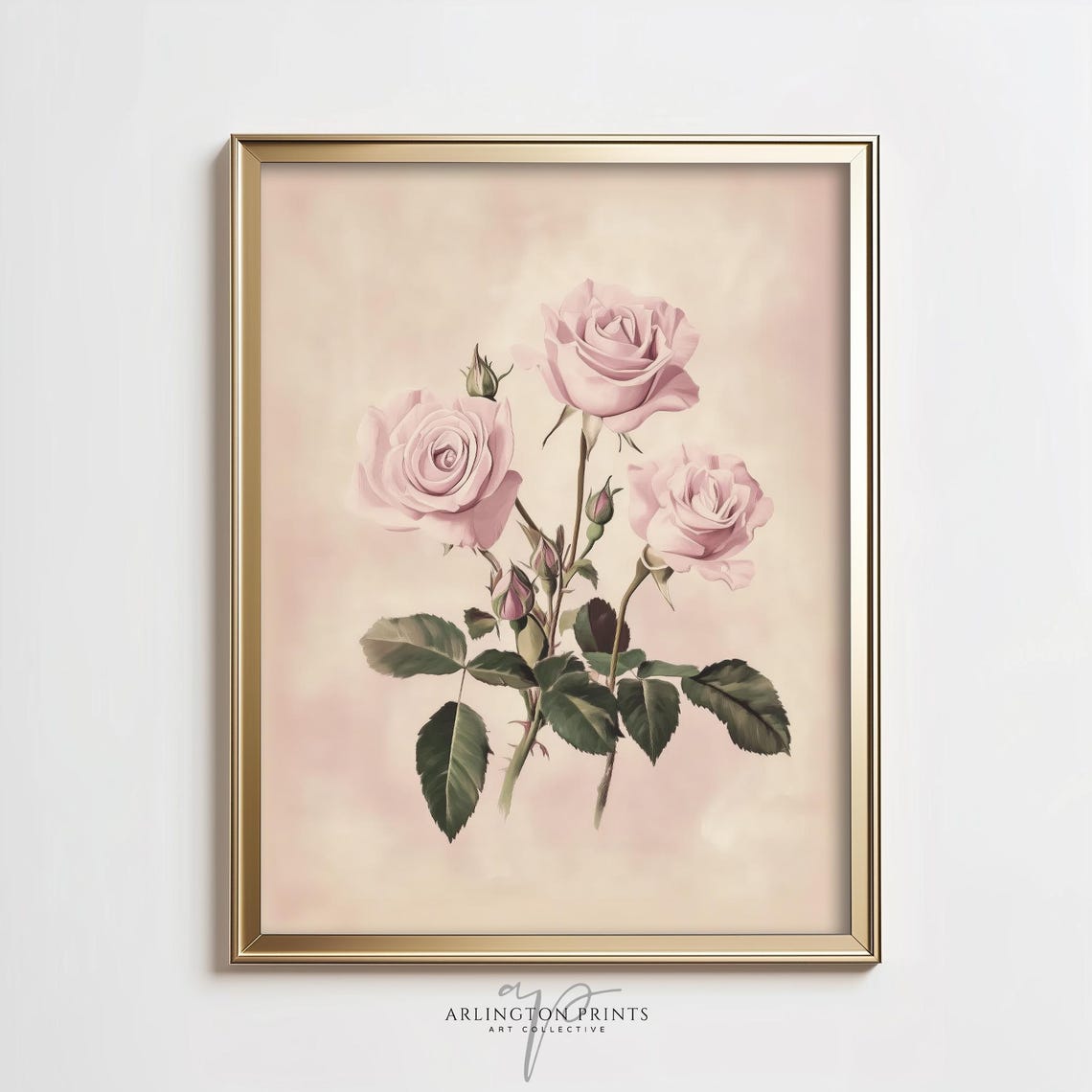 Three Pink Garden Roses Botanical Illustration Blush Vintage Print