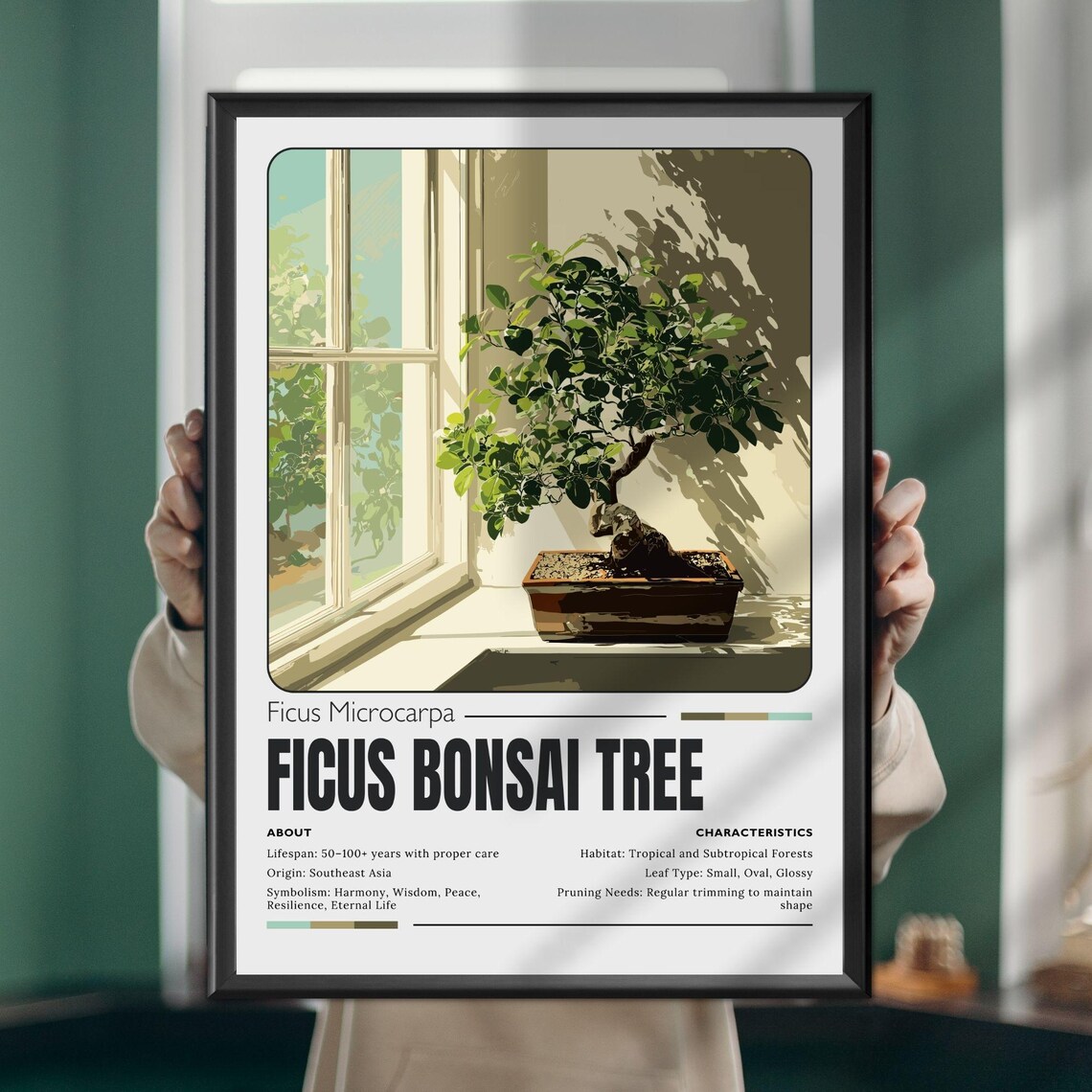 Ficus Bonsai Tree Wall Art Botanical Poster Or Canvas Print Zen Plant Illustration For Japandi Home Decor Gift