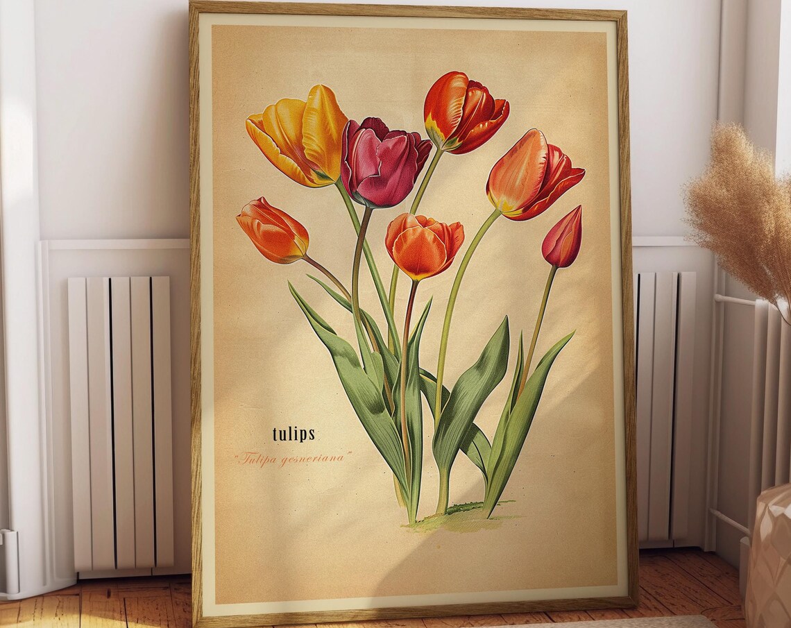 Vintage Tulips Art Print, Antique Botanical Poster