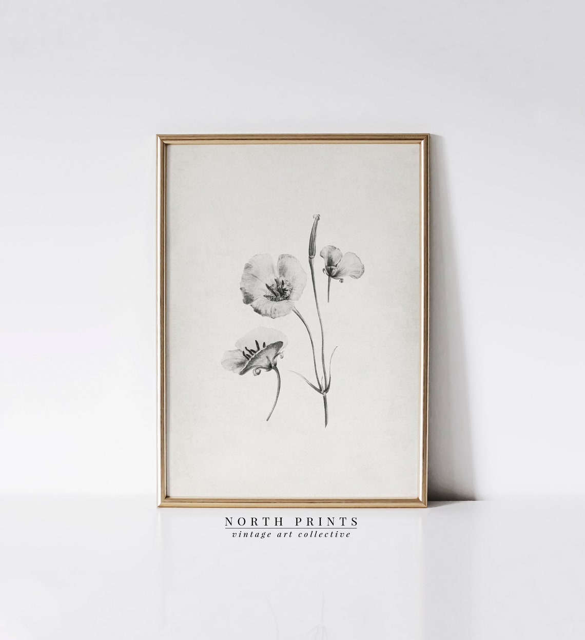 Minimalist Black White Flower Sketch Botanical Line Drawing Print - Image 4
