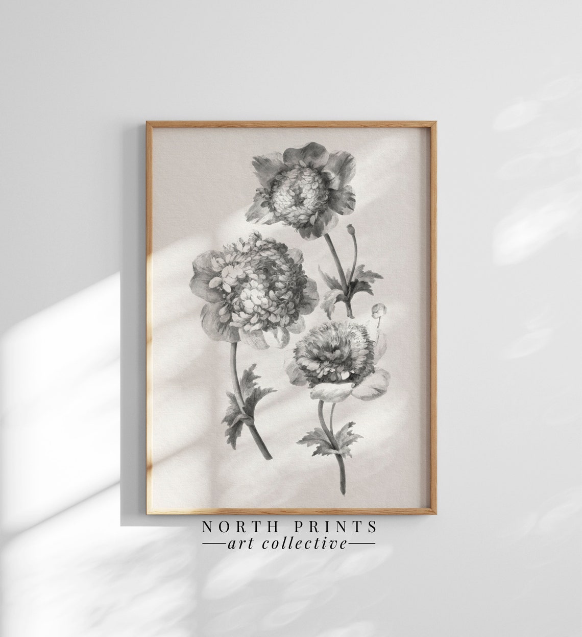 Antique Peony Flower Illustration Neutral Vintage Botanical Poster - Image 2