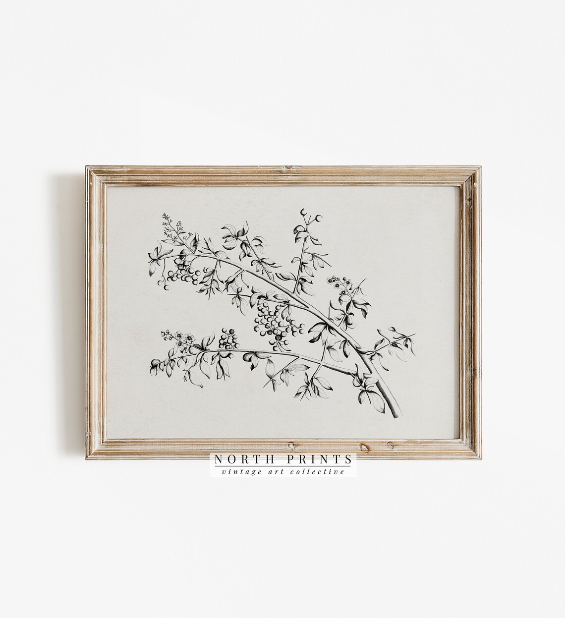 Minimalist Botanical Sketch, Vintage Flower Poster - Image 3