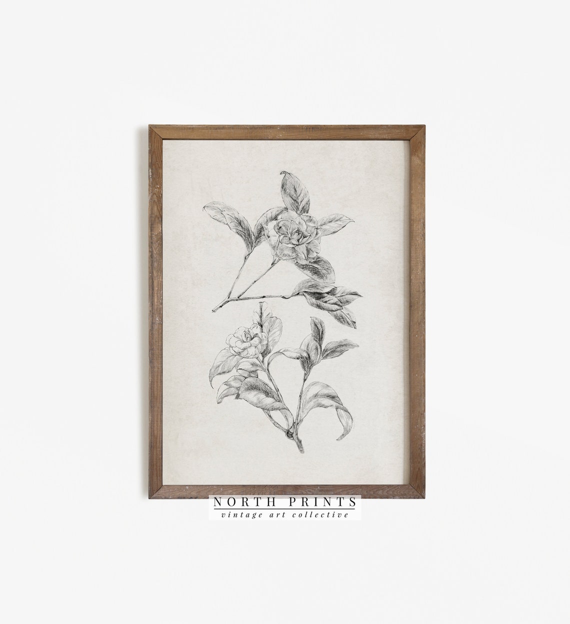 Antique Gardenia Flower Pencil Sketch Vintage Botanical Print