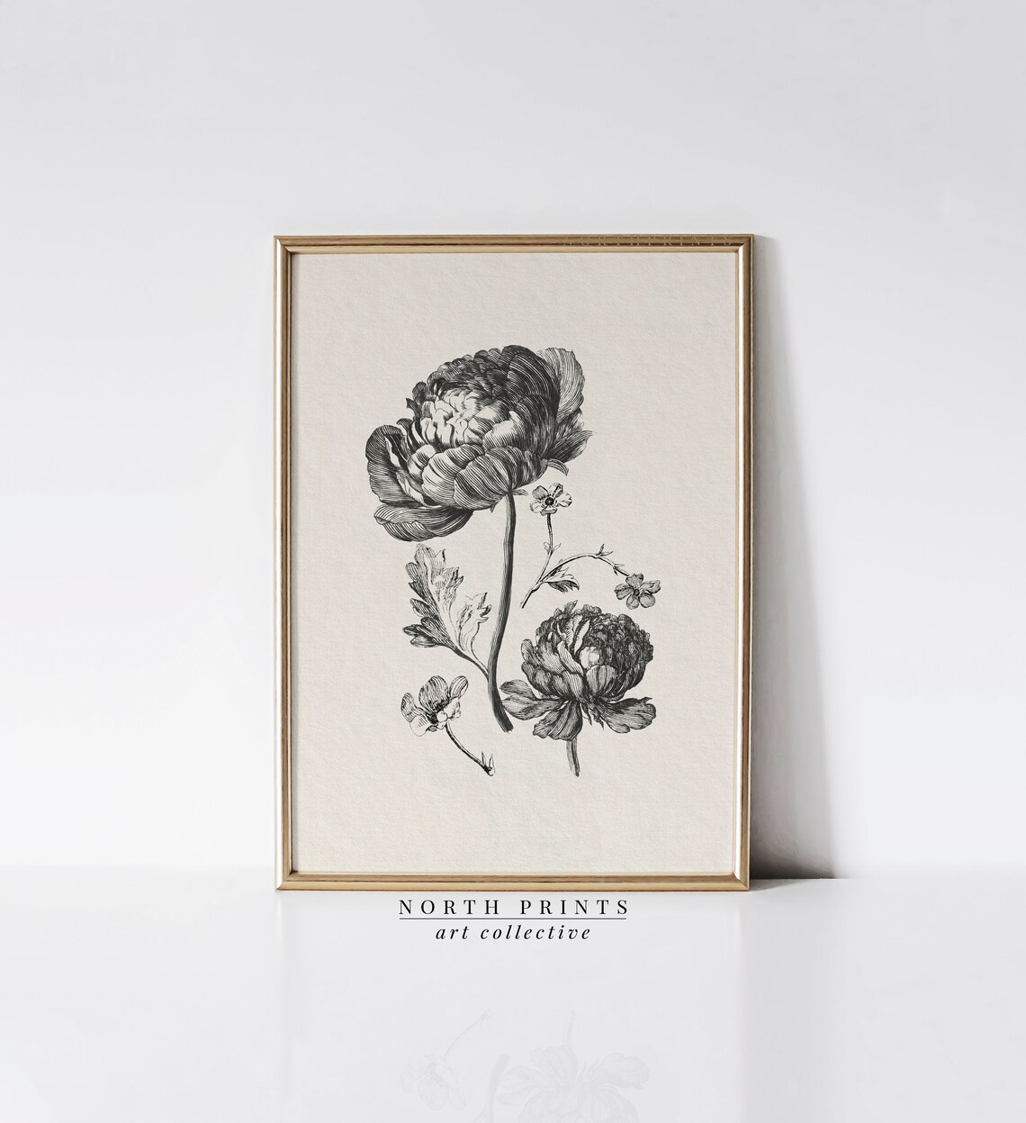 Antique Peony Sketch Art Print, Neutral Botanical