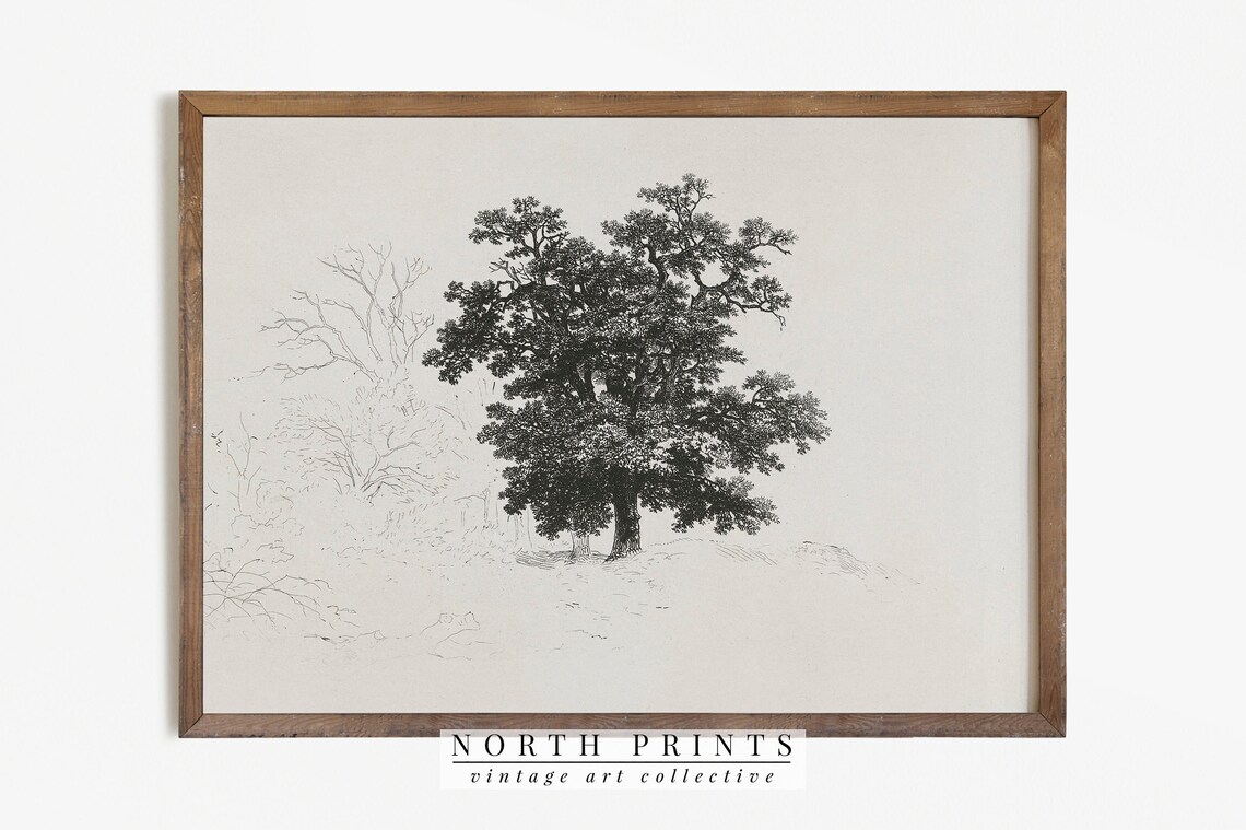 Antique Neutral Tree Sketch Vintage Nature Art Print