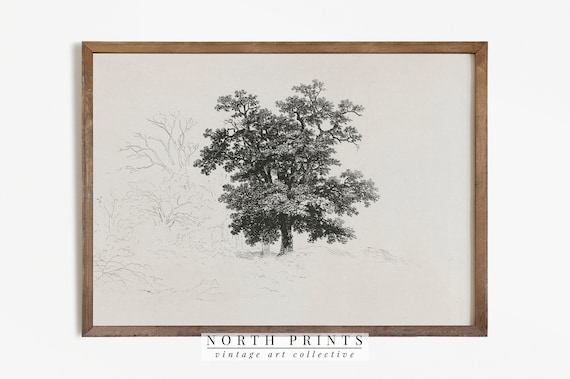 Antique Neutral Tree Sketch Vintage Nature Art Print