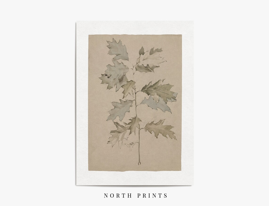 Vintage Sketch Botanical Oak Branch Drawing, Neutral Art Print - Image 2