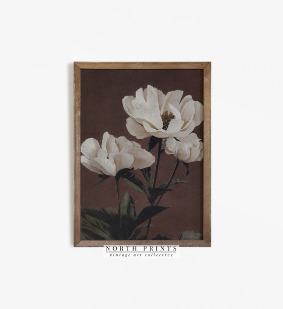 Moody Antique Flower Painting, Vintage Botanical Art Print