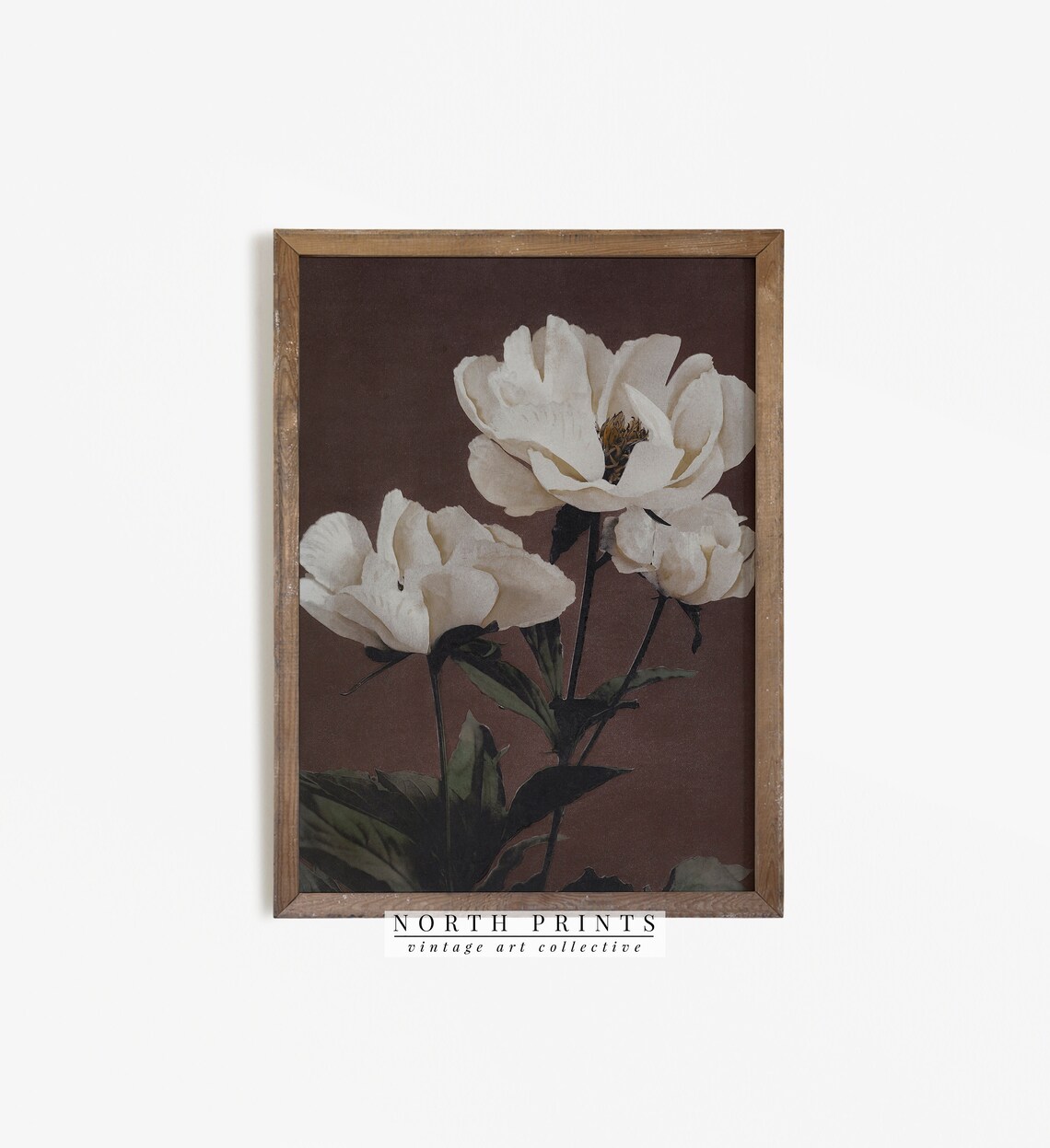 Moody Antique Flower Painting, Vintage Botanical Art Print
