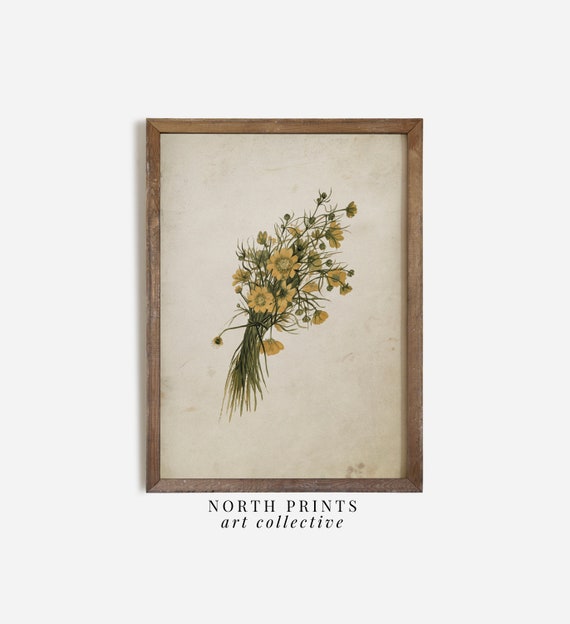 Vintage Yellow Flower Botanical Art Print, Cottage Decor