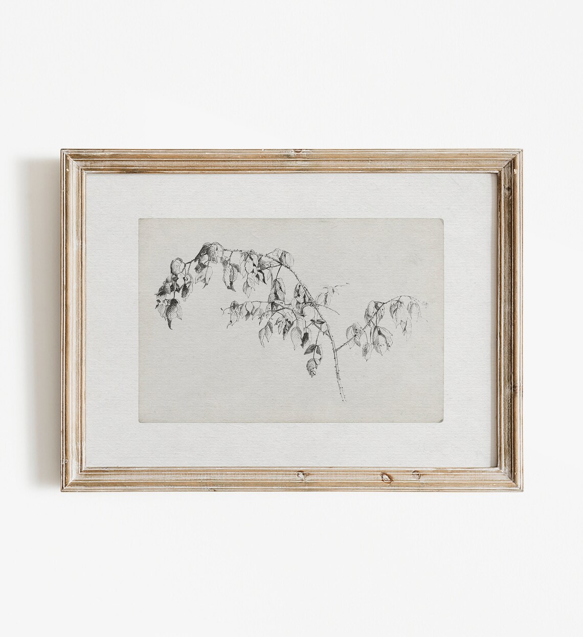 Vintage Branch Sketch Art Print, Nature Study - Image 3
