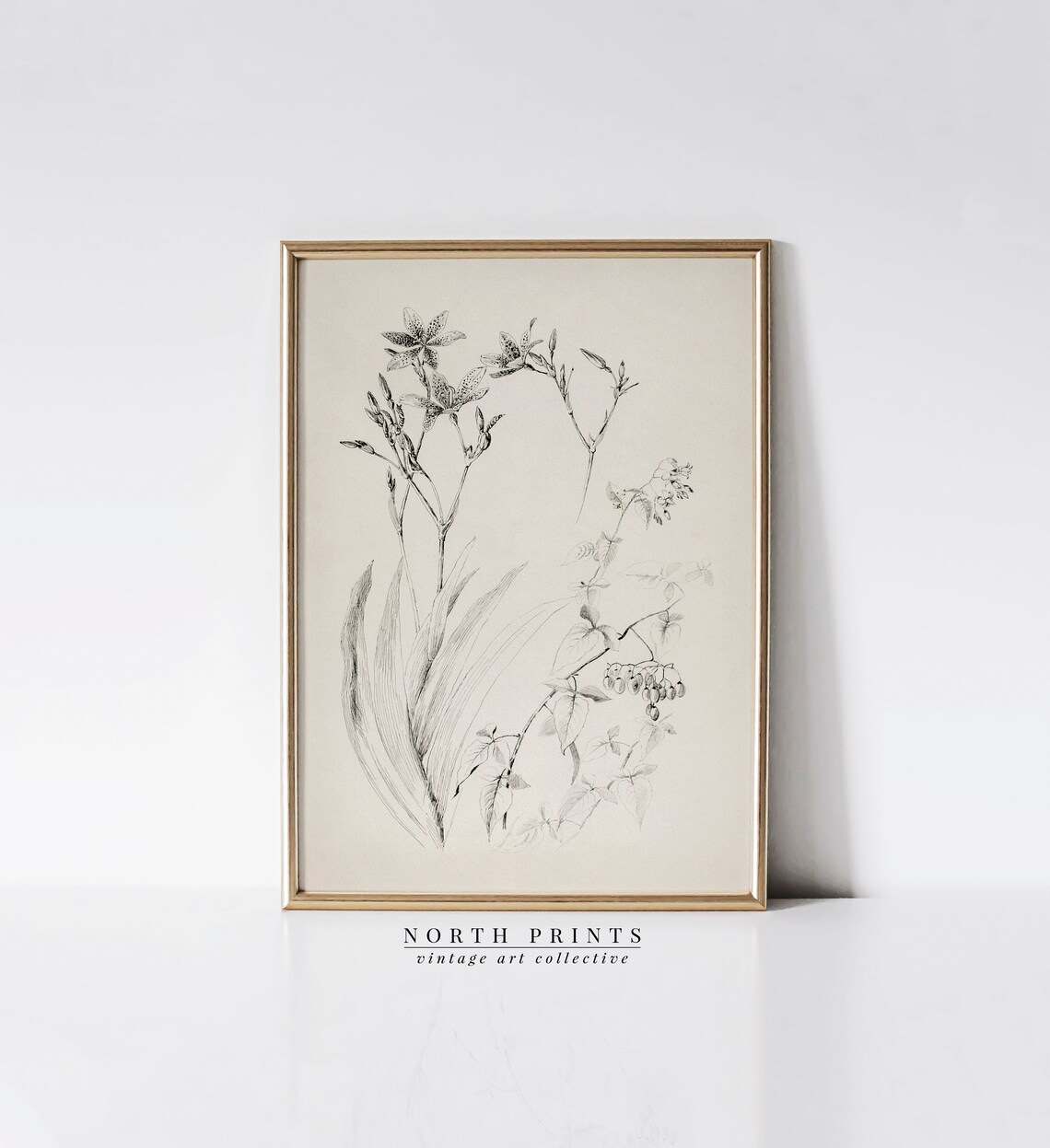 Vintage Neutral Flower Sketch Botanical Art Print