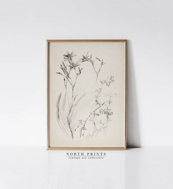 Vintage Neutral Flower Sketch Botanical Art Print