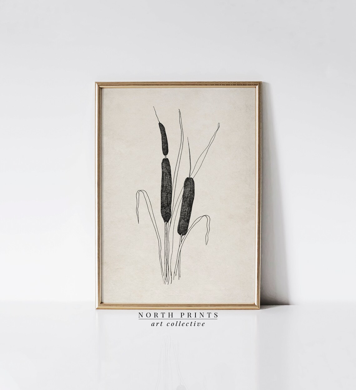 Minimalist Cattail Botanical Line Sketch Vintage Floral Poster