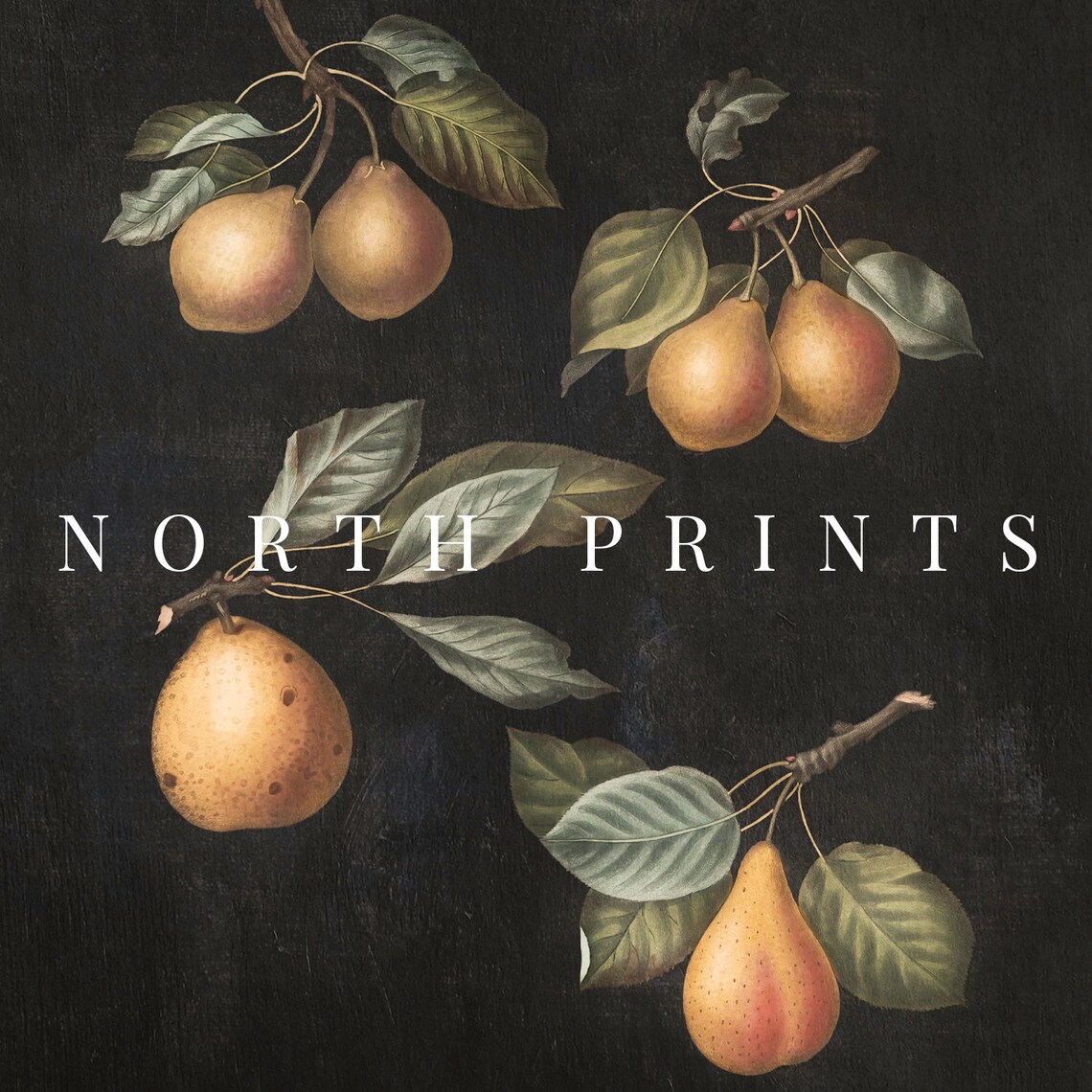 Vintage Moody Kitchen Fruit Pear Painting Dark Wall Art North Prints Shop 1288 - Image 4