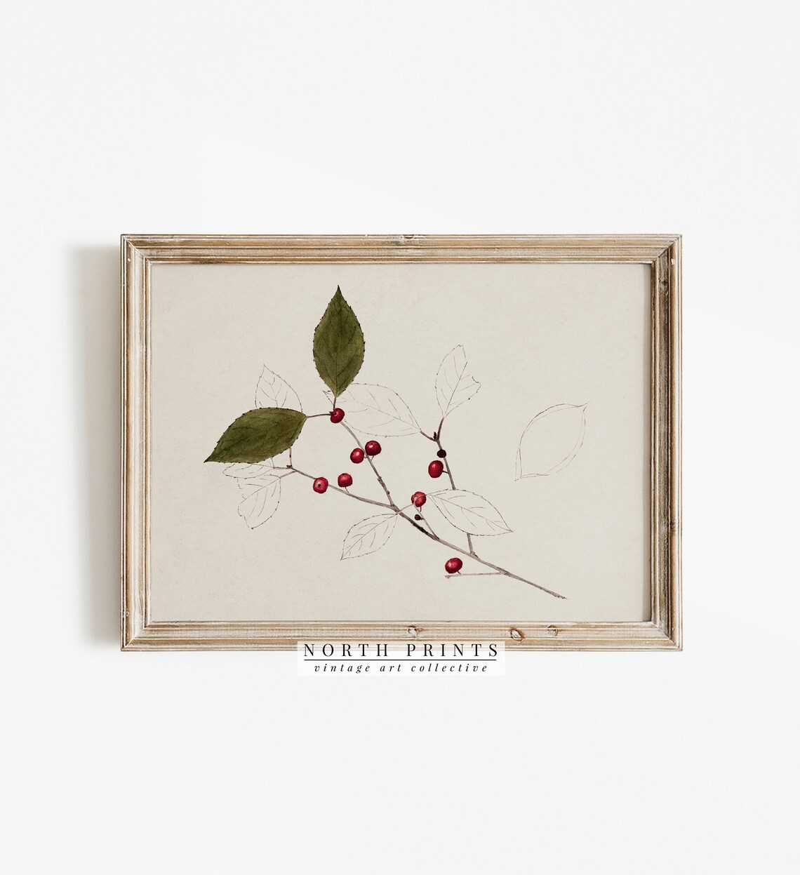 Vintage Botanical Christmas Art Print - Image 4