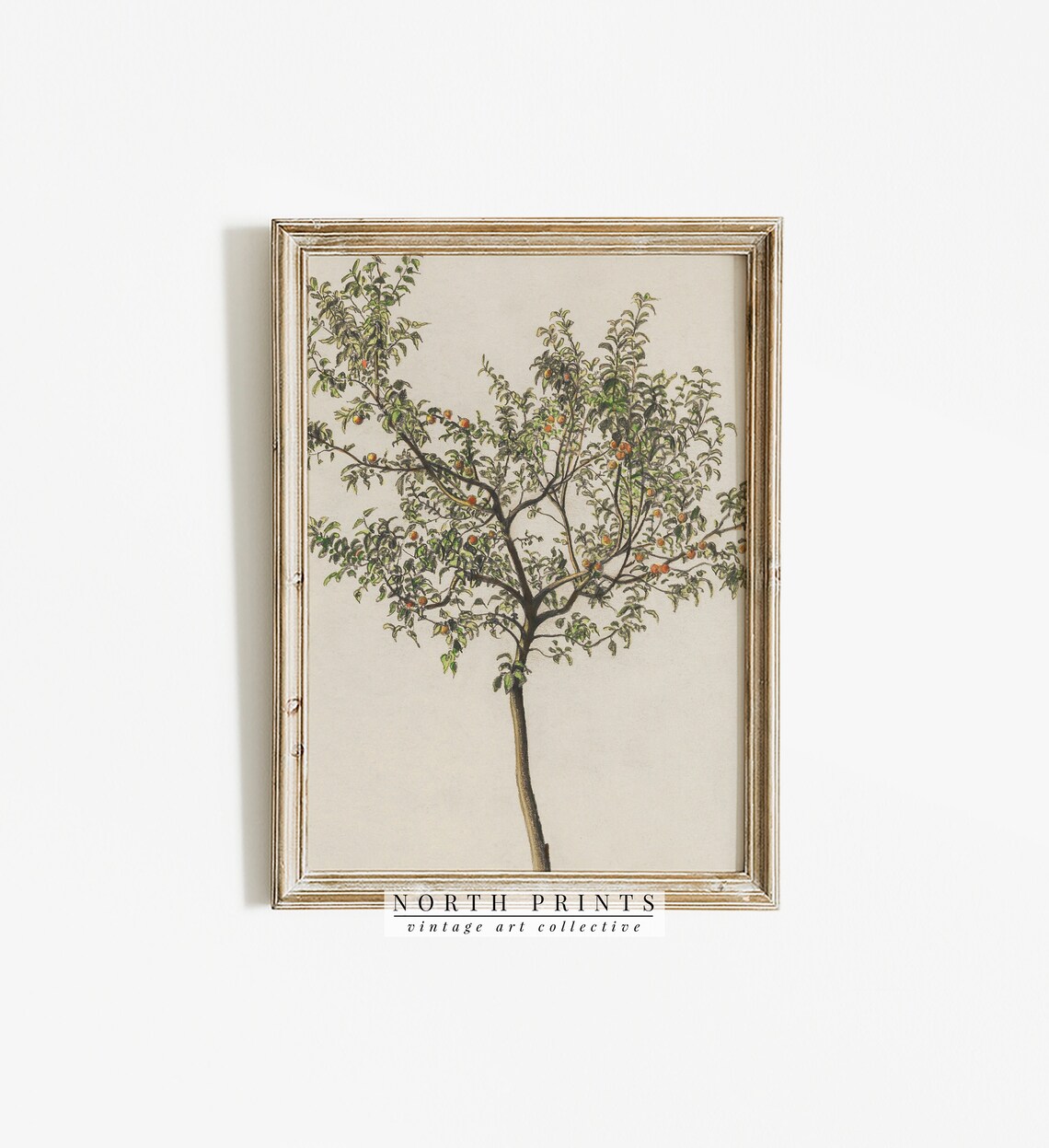 Spanish Kitchen Decor Vintage Orange Tree Art Print - Image 2