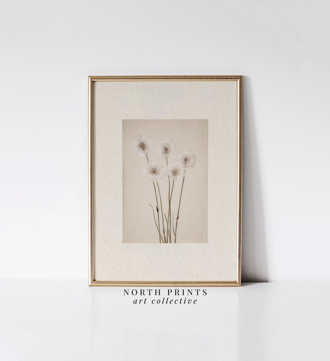 Neutral Dandelion Botanical Art Print, Farmhouse