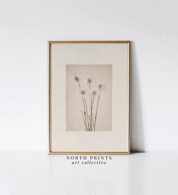 Neutral Dandelion Botanical Art Print, Farmhouse