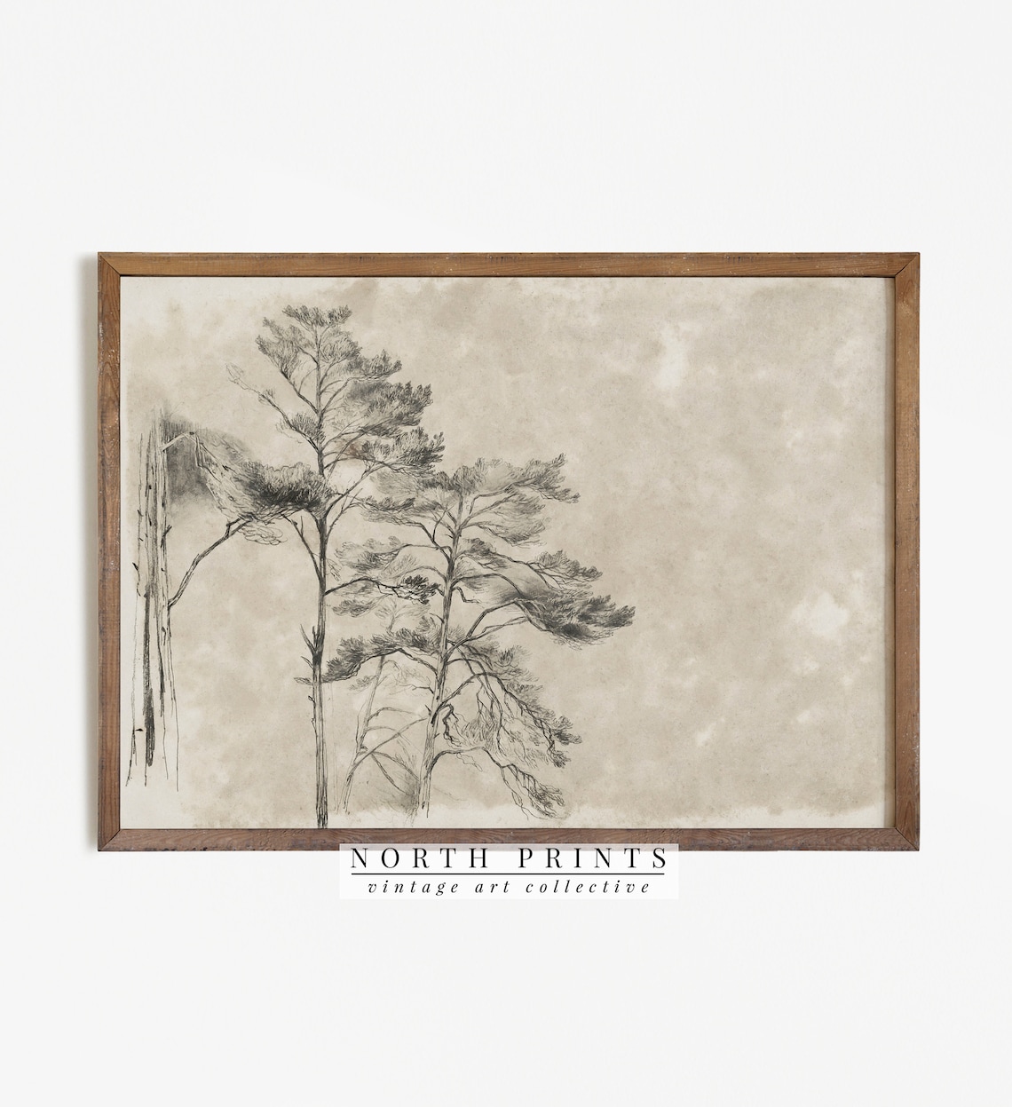 Antique Rustic Tree Sketch, Neutral Vintage Art Print