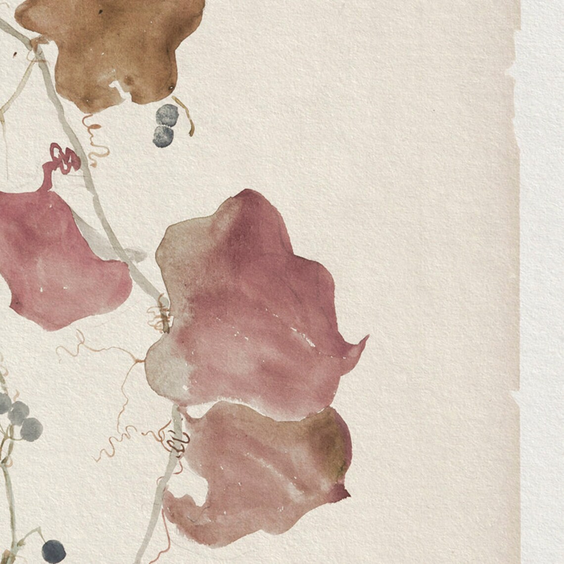 Antique Botanical Vine Art, Vintage Farmhouse Print - Image 4
