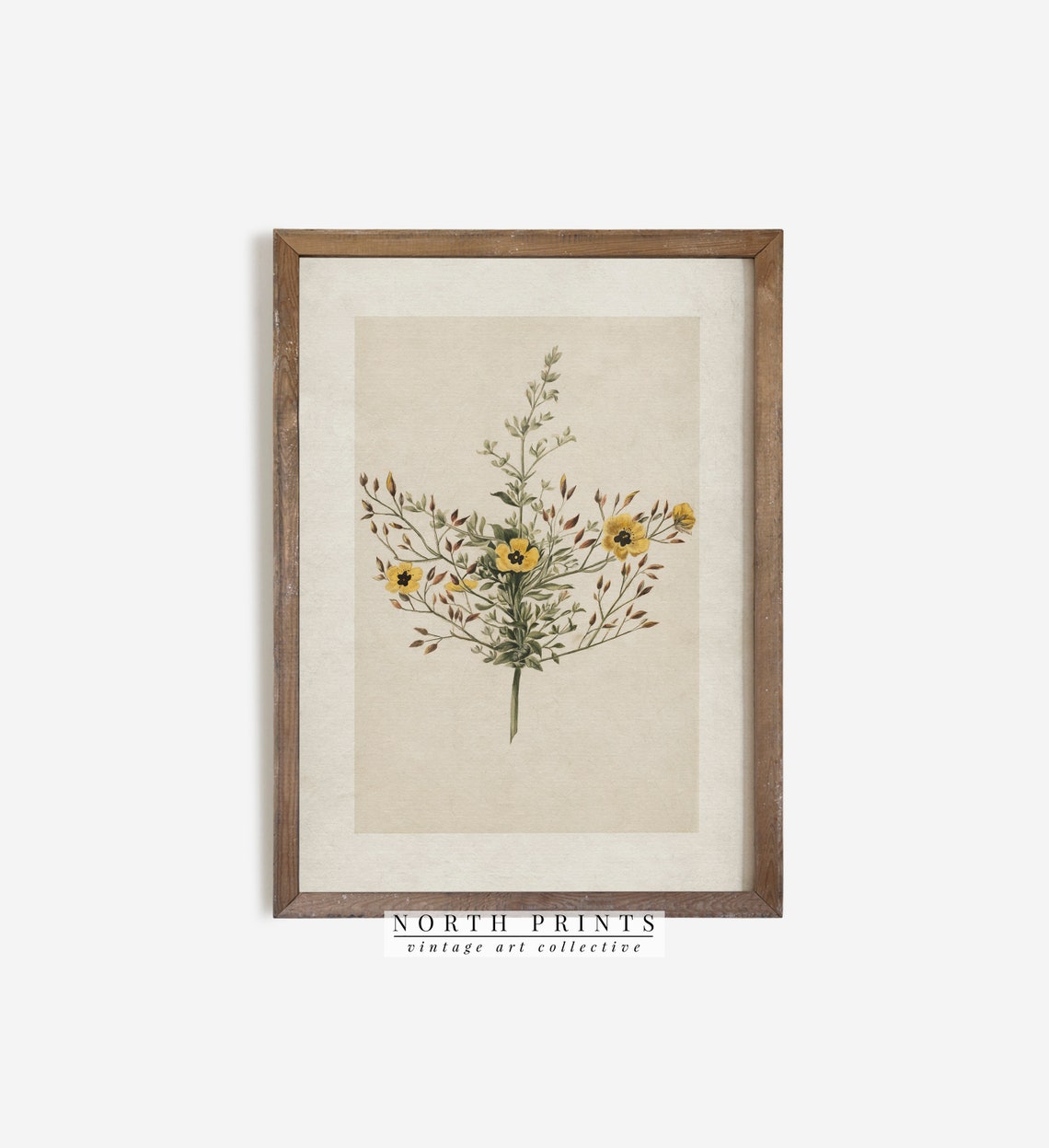 Yellow Wildflower Botanical Vintage Floral Illustration Art Poster