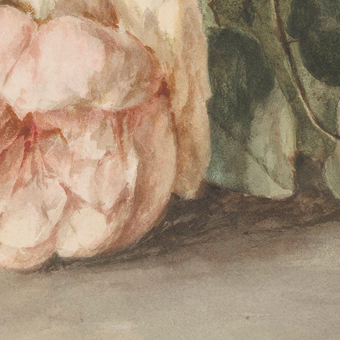 Vintage Pink Botanical Still Life Art Print - Image 4