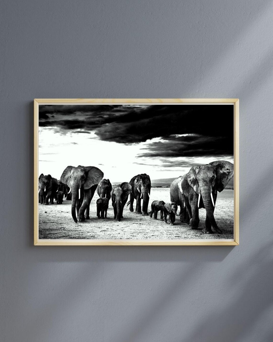 Elephant Herd Black And White African Safari Photography Dramatic Wall Poster