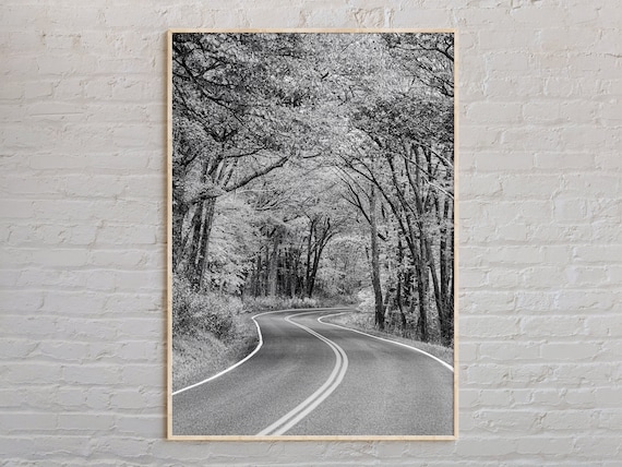 Black And White Winding Forest Road Under Tree Canopy Photo Poster