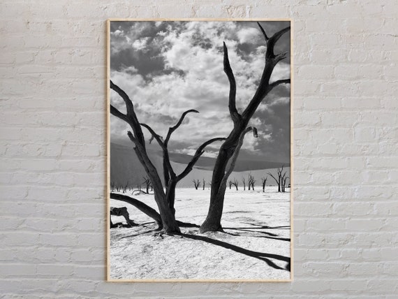 Black And White Namibia Print Wall Art Poster Photo Decor Africa