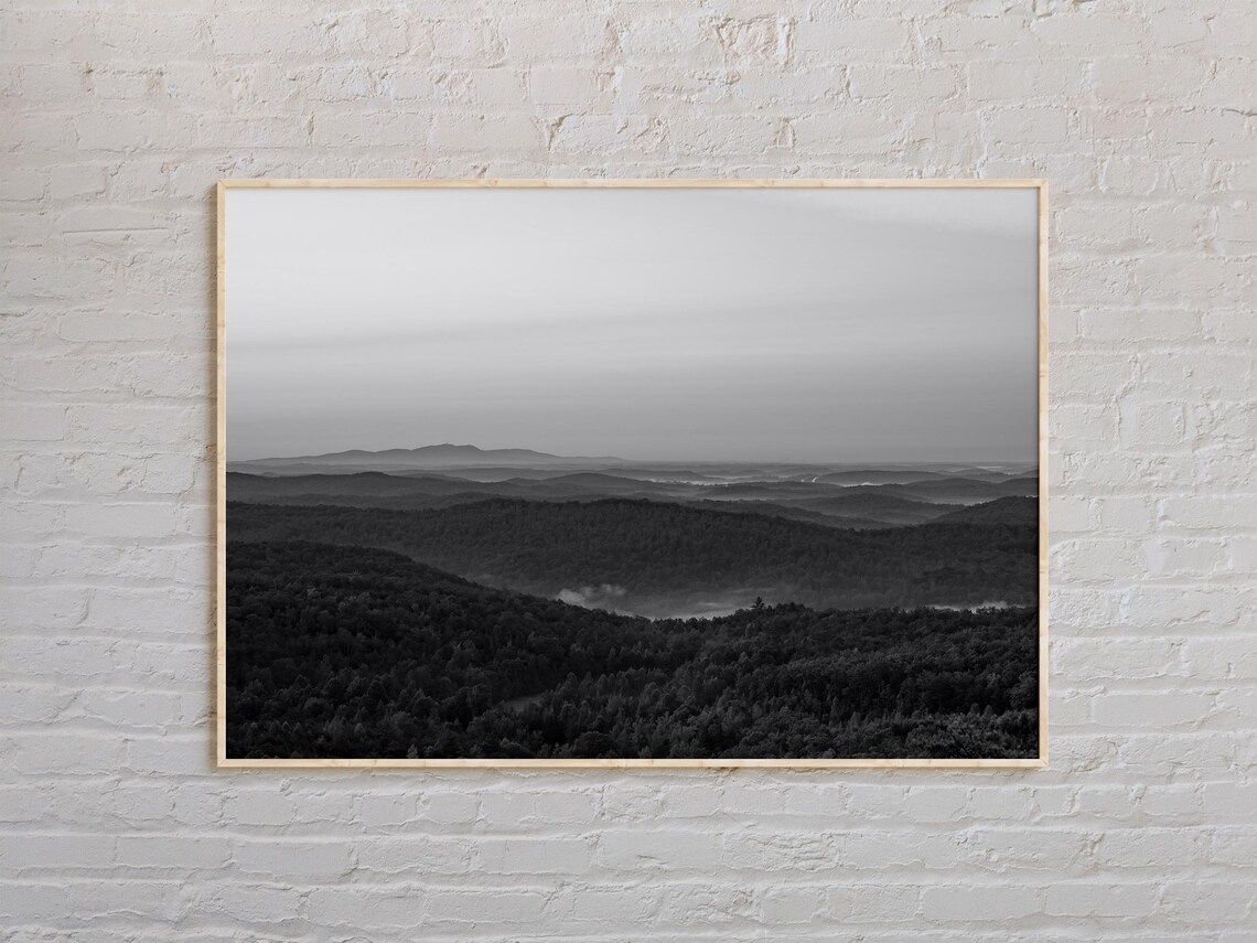 Black And White South Carolina Print South Carolina Wall Art South Carolina Poster South Carolina Photo South Carolina Wall Decor