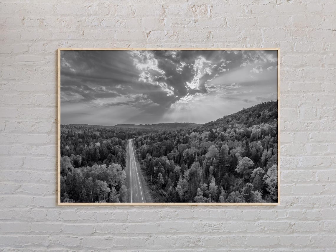 Michigan Forest Highway Aerial Black And White Landscape Poster