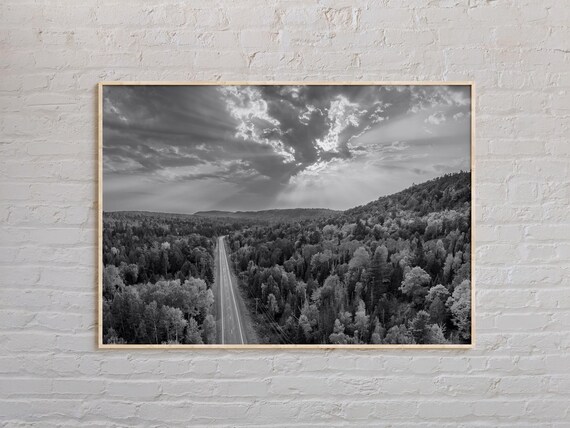 Michigan Forest Highway Aerial Black And White Landscape Poster