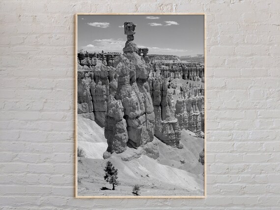Bryce Canyon National Park Hoodoos Black And White Photo Poster