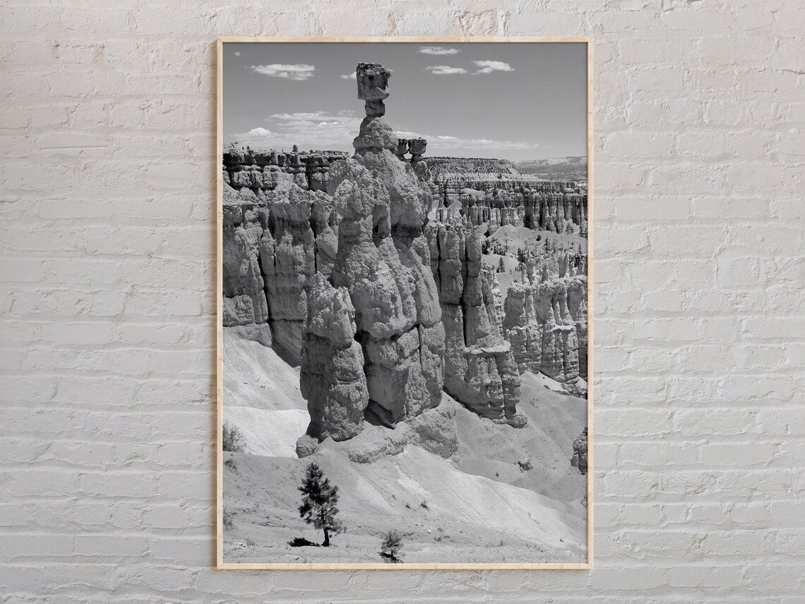 Bryce Canyon National Park Hoodoos Black And White Photo Poster